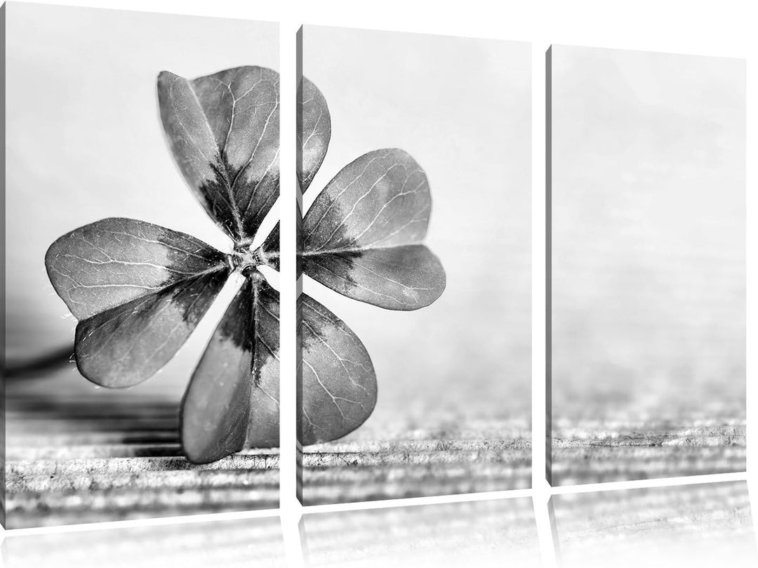 Pixxprint Glücks Kleeblatt mit 4 Blättern als Leinwandbild | Grösse: 3 Teilig (120x80) | Wandbild| K