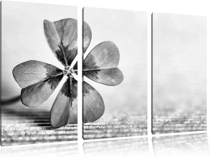 Pixxprint Glücks Kleeblatt mit 4 Blättern als Leinwandbild | Grösse: 3 Teilig (120x80) | Wandbild| K