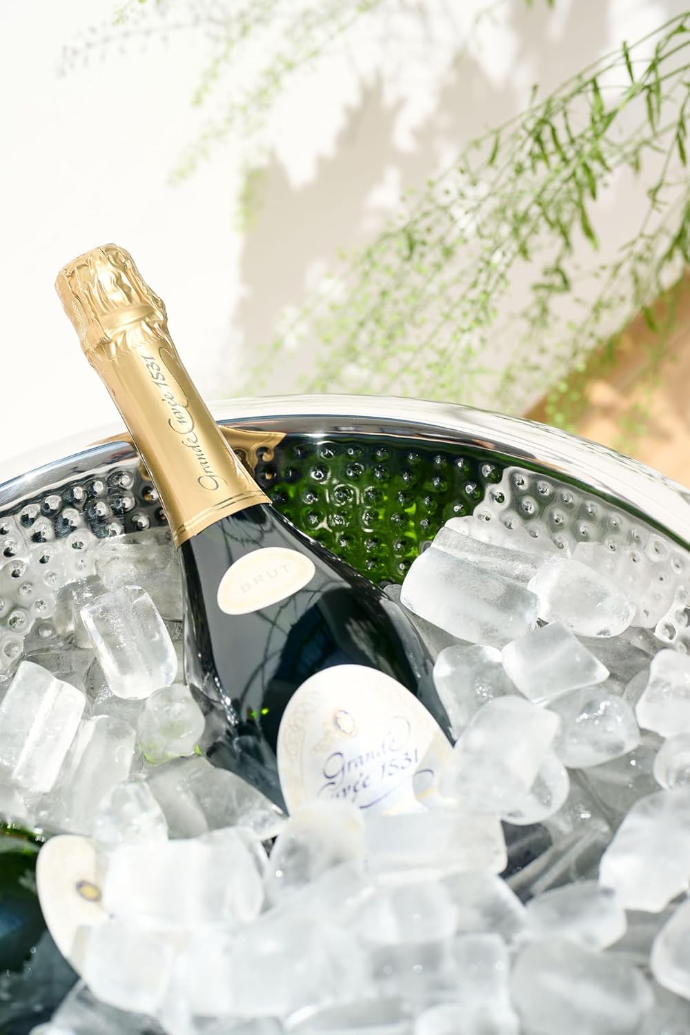 EDZARD Champagnerkühler Cadiz (ø 43 cm, H 24 cm) Edelstahl hochglanzpoliert, innen gehämmert, doppel