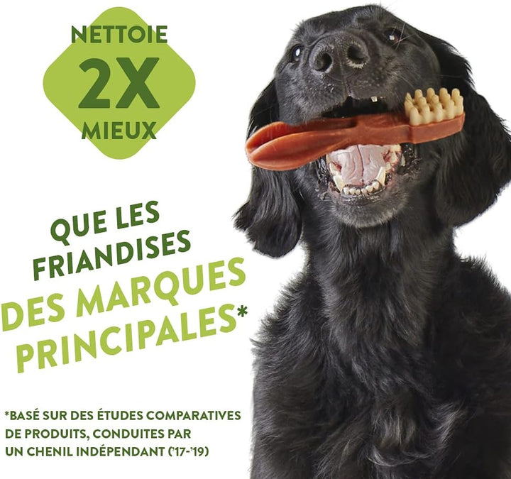 WHIMZEES by Wellness Stix, natürliche & by Wellness Reisknochen, natürliche, glutenfreie Zahnpfleges