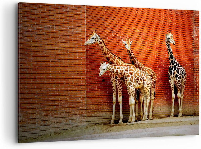 Bilder auf Leinwand 100x70cm Leinwandbild Tiere Giraffen Zoo Familie Gross Wanddeko Bild Schlafzimme