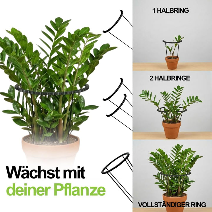 PLANTINITY Rankhilfe Aus Biokunststoff, 4er Set, 21x50 cm | Stützring Für Stauden Und Zimmergrün, Fü