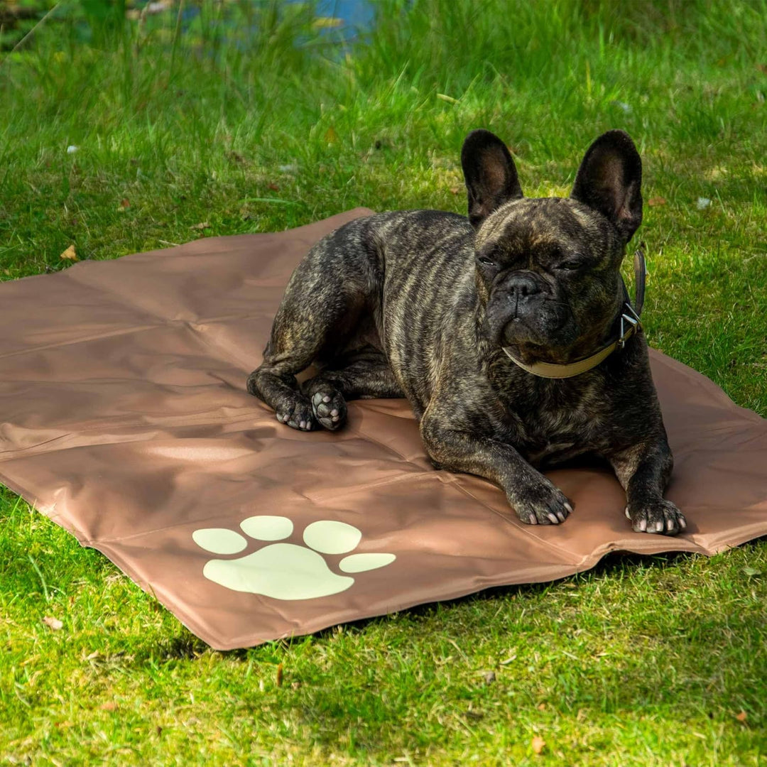 dobar® 60421 Kühlmatte für Hunde - Hundekühlmatte für Hund & Katze - selbstkühlende Matte für Hausti
