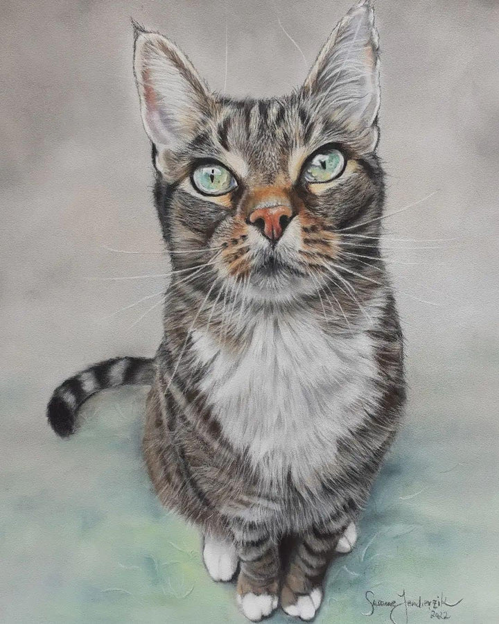 Clairefontaine 696009C - Packung mit 5 Zeichenbögen Pastelmat, ideal für Trockentechniken und Pastel