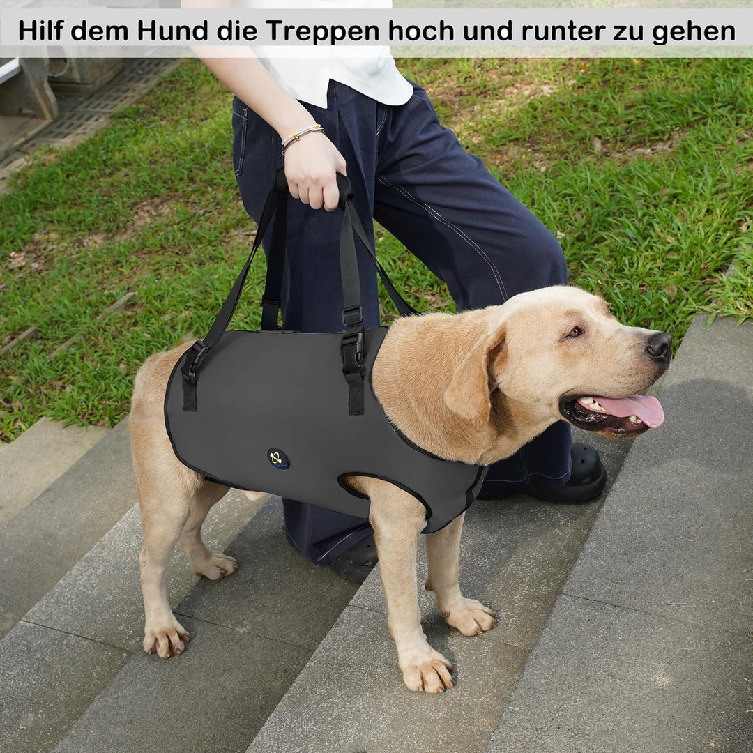 Coodeo Hundeliftgeschirr, Haustierunterstützung & Rehabilitation Sling Lift Verstellbare Gepolsterte