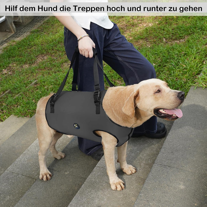 Coodeo Hundeliftgeschirr, Haustierunterstützung & Rehabilitation Sling Lift Verstellbare Gepolsterte