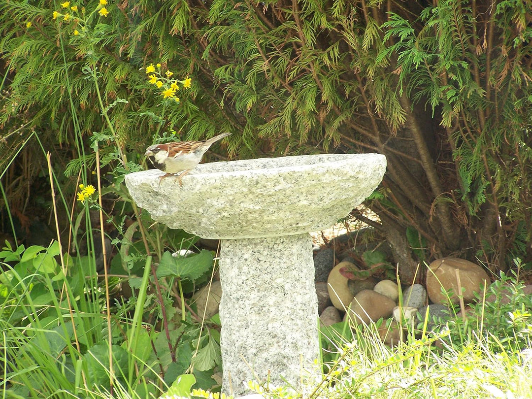 Gebrüder Lomprich Vogelbad aus Granit mit Fuss (3 Steinvögel am Rand
