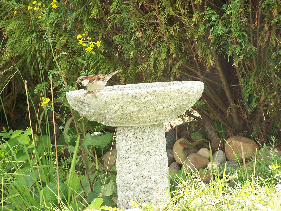 Vogelbad aus Granit mit Fuss (5 Steinvögel am Rand sitzend), 5 Steinvögel am Rand sitzend