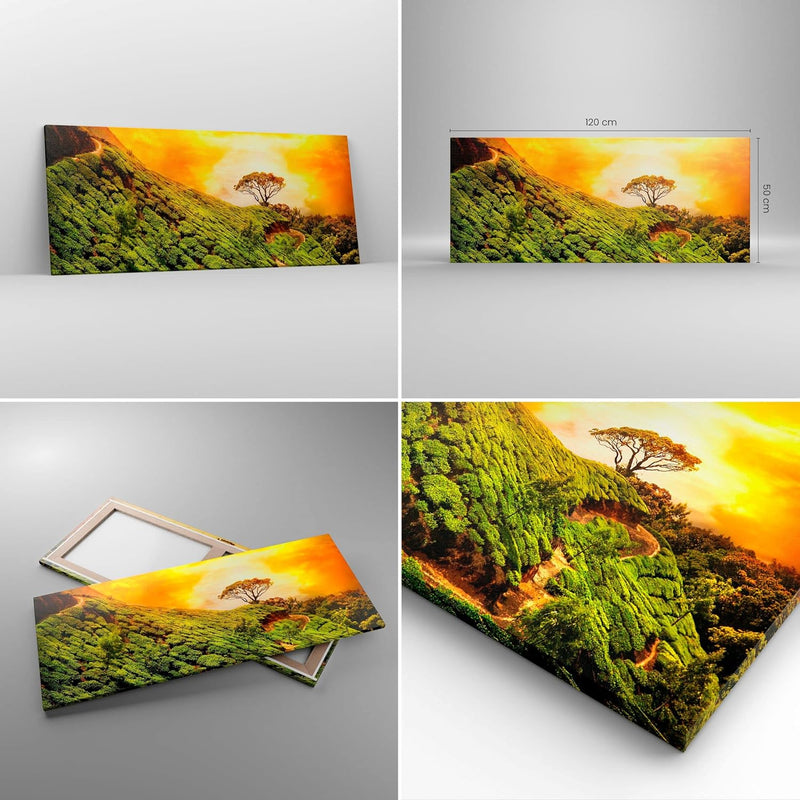 Wandbilder Dekoration Wohnzimmer Berg Baum Pfad Hügel Panorama Bilder auf Leinwand 120x50cm Leinwand