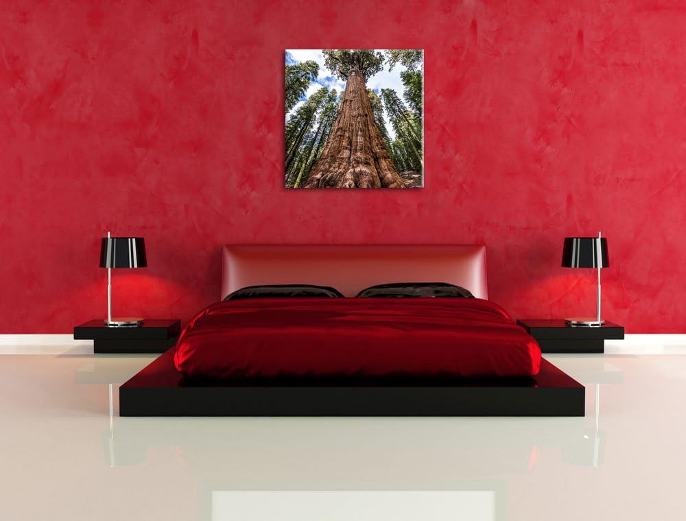 Pixxprint Baum im Regenwald/Format: 70x70cm / Leinwandbild fertig bespannt Wandbild Kunstdruck, 70x7