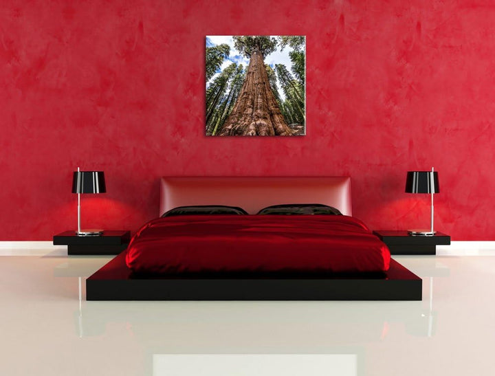 Pixxprint Baum im Regenwald/Format: 70x70cm / Leinwandbild fertig bespannt Wandbild Kunstdruck, 70x7