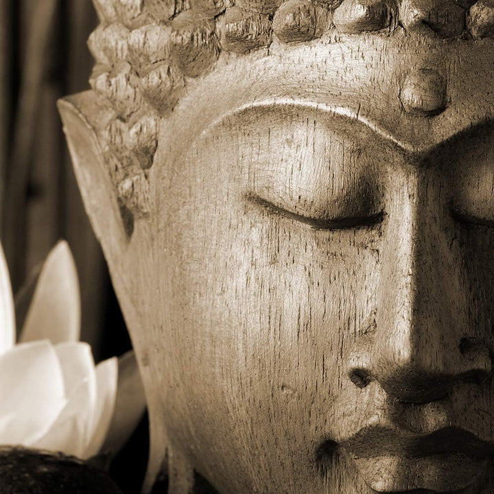 Feeby Wanddeko XXL Buddha Leinwandbild 5 Teilig Blume Lilie Skulptur Zen Sepia 100x70 cm Leinwandbil