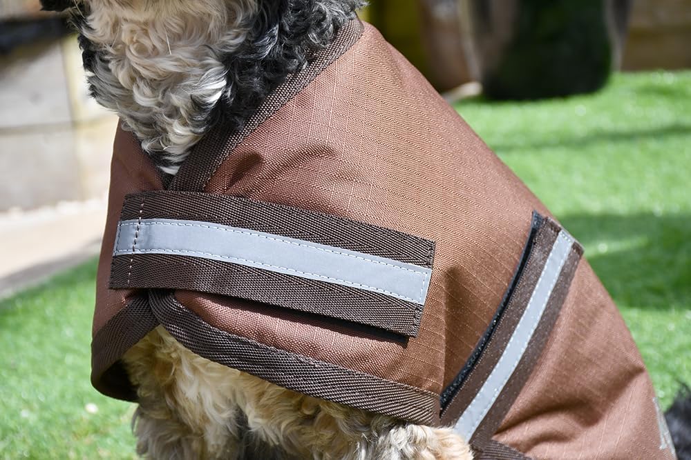 Rhinegold Hundemantel, wasserdicht, 65 cm, Braun braun 26" (65cm), braun 26" (65cm)