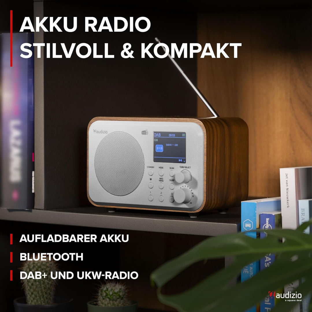 Audizio Milan DAB Radio mit Bluetooth, 10 Stunden Akku Radio 2000 mAh, Radiowecker mit Sleeptimer, L