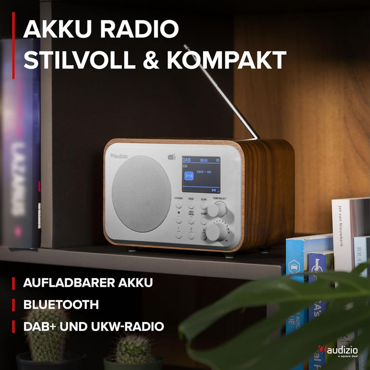 Audizio Milan DAB Radio mit Bluetooth, 10 Stunden Akku Radio 2000 mAh, Radiowecker mit Sleeptimer, L
