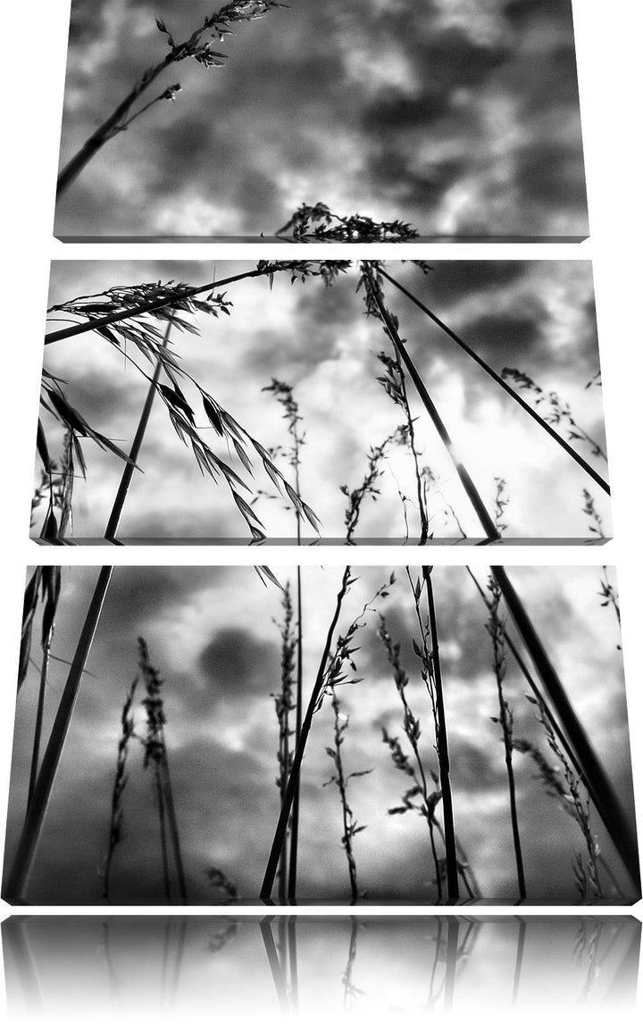Pixxprint Monocrome, Grashalme mit dunklem Himmel 3-Teiler Leinwandbild 120x80 Bild auf Leinwand