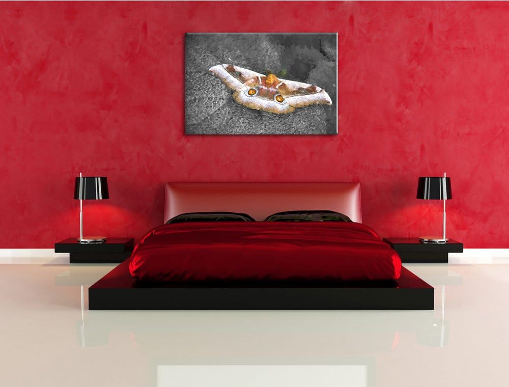 eleganter Schmetterling auf Blatt schwarz/weiss Deluxe Format: 100x70 cm auf Leinwand, XXL riesige B