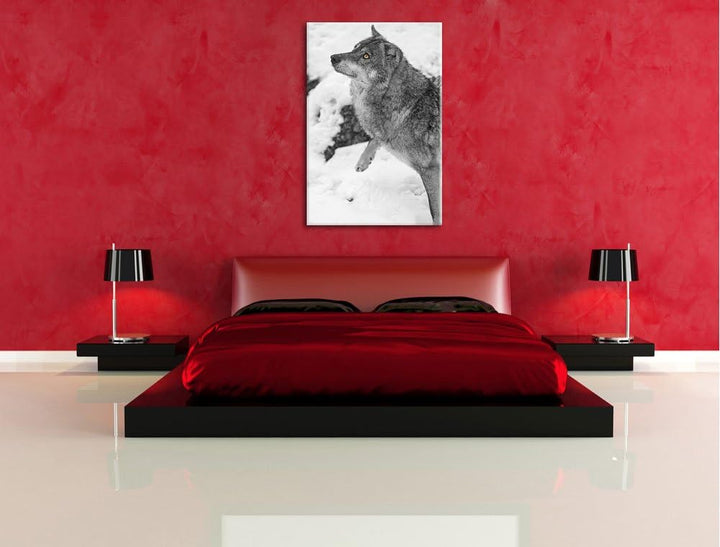 schöner Wolf im Schnee schwarz/weiss auf Leinwand, XXL riesige Bilder fertig gerahmt mit Keilrahmen,