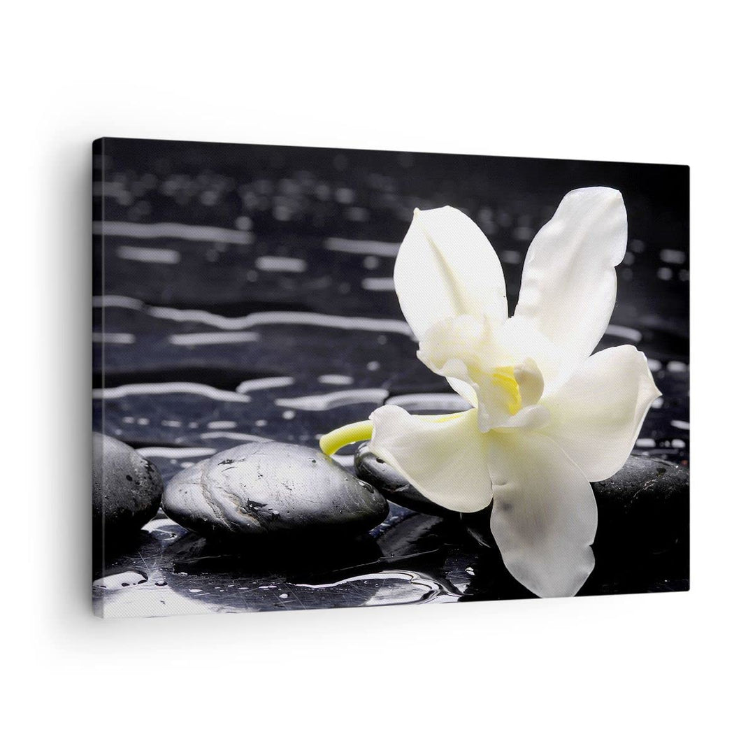 Bilder auf Leinwand Spa Orchidee Steine Wasser Leinwandbild 70x50cm Wandbilder Dekoration Wohnzimmer