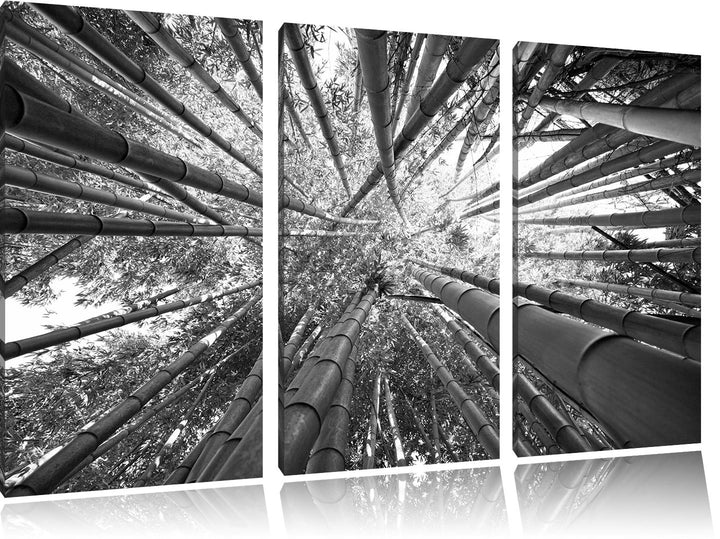 Pixxprint Grüner Bambus Kunst B&W als Leinwandbild | Grösse: 3 Teilig (120x80) | Wandbild| Kunstdruc