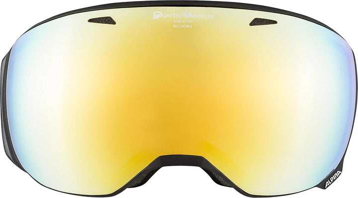 Alpina Unisex Skibrille Skibrille (1er Pack) Einheitsgrösse black matt, Einheitsgrösse black matt