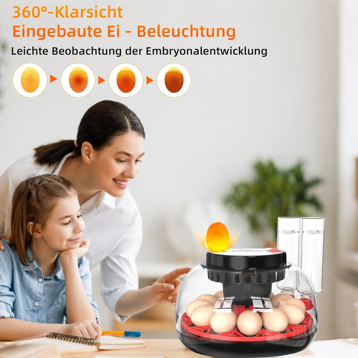 Brutautomat Vollautomatisch Eierinkubator 12 Eier mit Wasserversorgung,Automatischem Eierwender und
