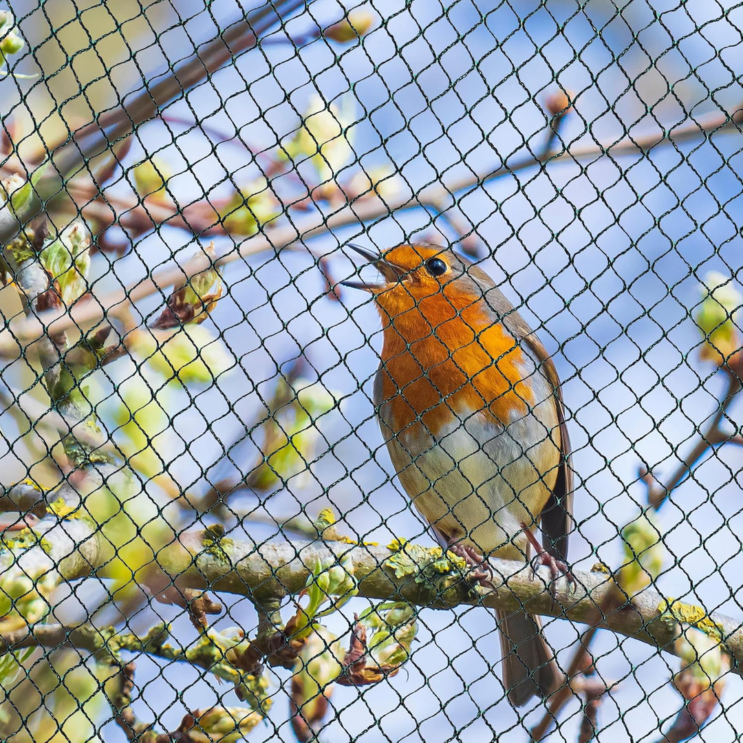 F&R Gartennetz, Teichnetz, Vogelschutz-Netz, Pool Netz, Obstbaumnetz, Vogelabwehr-Netz, Laubnetz 20g
