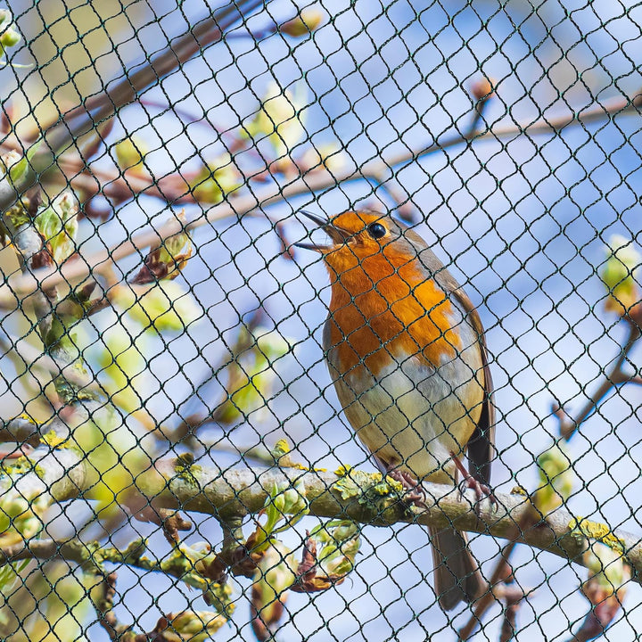F&R Gartennetz, Teichnetz, Vogelschutz-Netz, Pool Netz, Obstbaumnetz, Vogelabwehr-Netz, Laubnetz 20g
