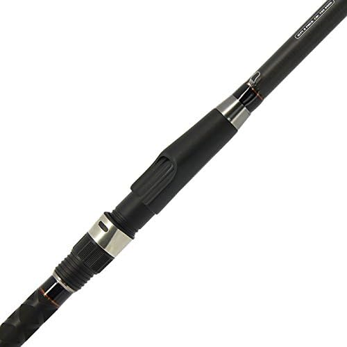 2 x Welsrute Waller Rute 3,00 Meter 200g + Rolle BM 7000 mit Schnur