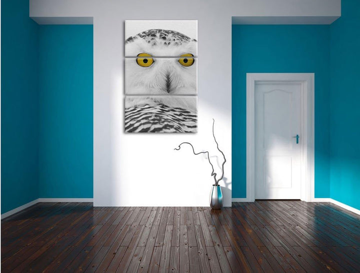 Pixxprint grosse Schnee Eule als Leinwandbild - Grösse: 3-Teilig (120x80cm) - Wandbild - Kunstdruck