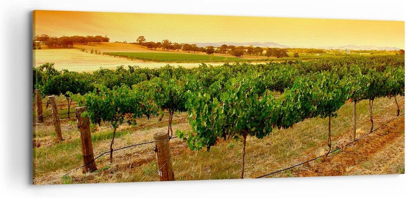 Wandbilder Dekoration Wohnzimmer Landschaft Weinberg Sonnenuntergang Bilder auf Leinwand 120x50cm Le