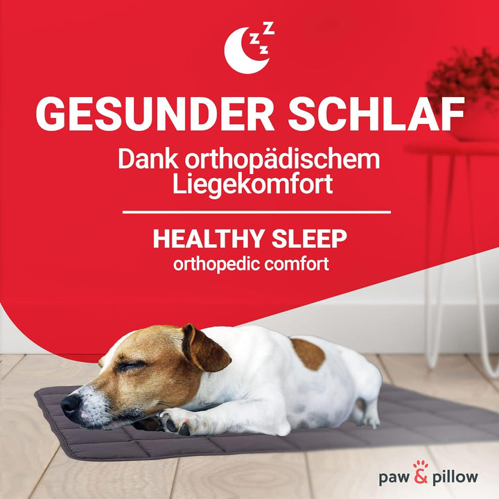 paw & pillow® Hundematte Outdoor & Indoor [Kratz- & Bissfest] - Hunde Reisebett waschbar - Hunde Out