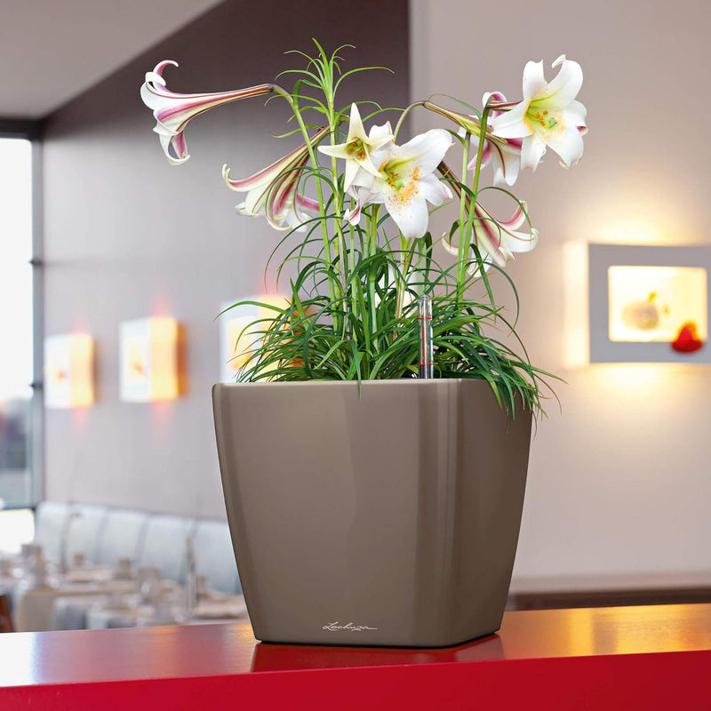 LECHUZA QUADRO Premium LS 35 weiss hochglanz 16160 35x35x33 cm Weiss Hochglanz, 35x35x33 cm Weiss Ho