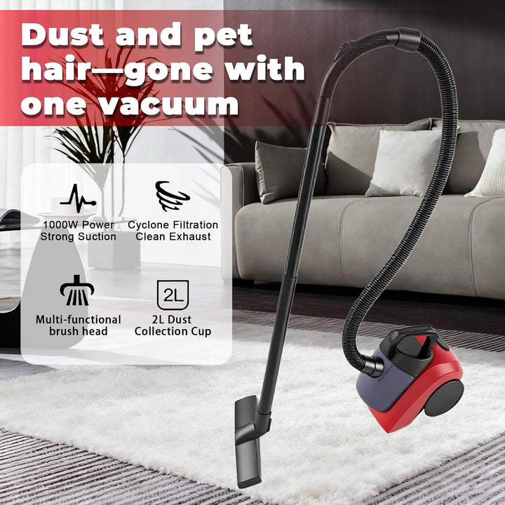 Compact Staubsauger – Leicht, Beutellos, 1000 W Saugleistung, Düse für Hartböden und Teppich, HEPA-F