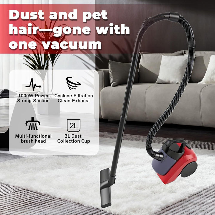 Staubsauger, 1000W Bodenstaubsauger, ideal für Tierhaare und Allergiker, Hygiene-Filter, für Parkett