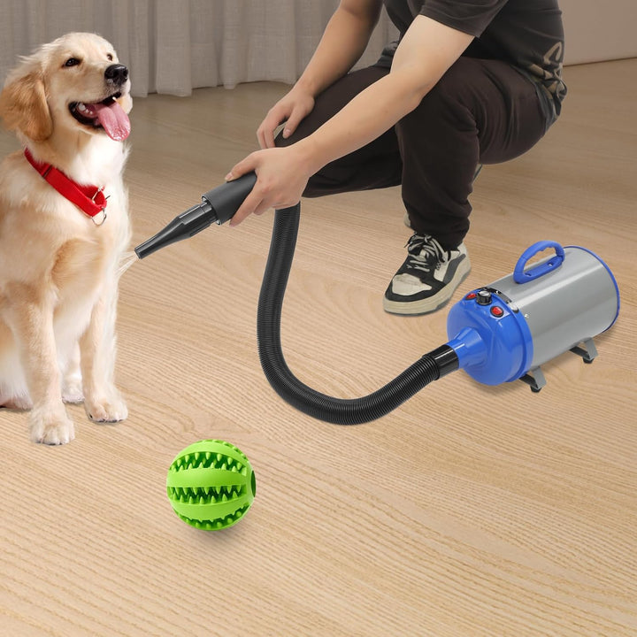Hundefön Blower mit 4 Düsen - 2200W Profi Blower Hund, Leiser Hundepflege Trockner Gebläse für Hunde