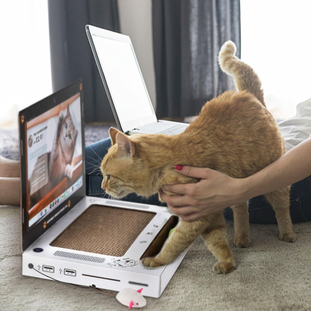 Laptopförmiges Katzenkratzkissen Mit Plüschmaus Aus Alter Zeit. Robuste Wellpappe. Faltbares, Platzs