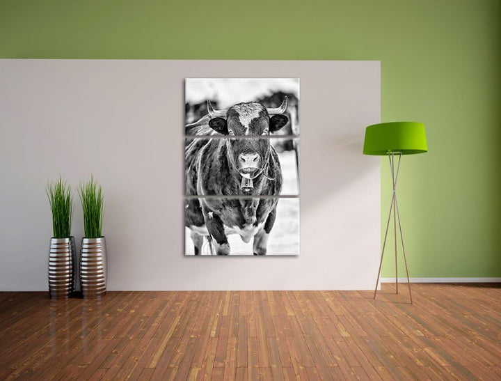 Pixxprint Kuhbullen in Schneelandschaft als Leinwandbild/Grösse: 3 Teilig (120x80) cm/Wandbild/Kunst