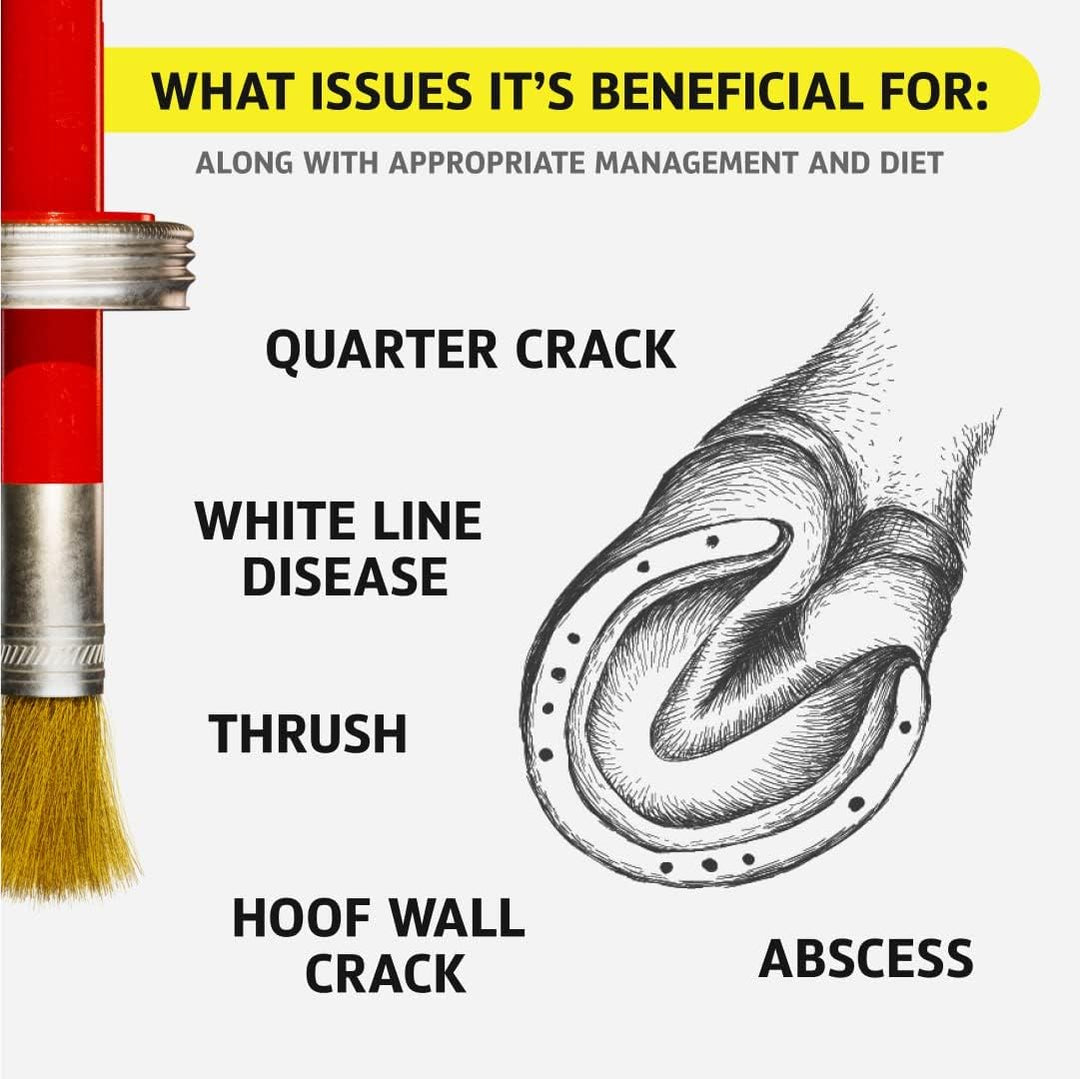 Hoof Doctor - White Line | Thrush | Abscesses | Quarter Crack | Seedy Toe | Sole Bruises - 100% All-