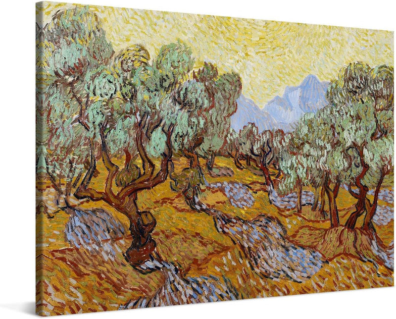 PICANOVA – Vincent Van Gogh Olive Trees 60x40 cm – Bild auf Leinwand – Leinwandbild – Premium Leinwa