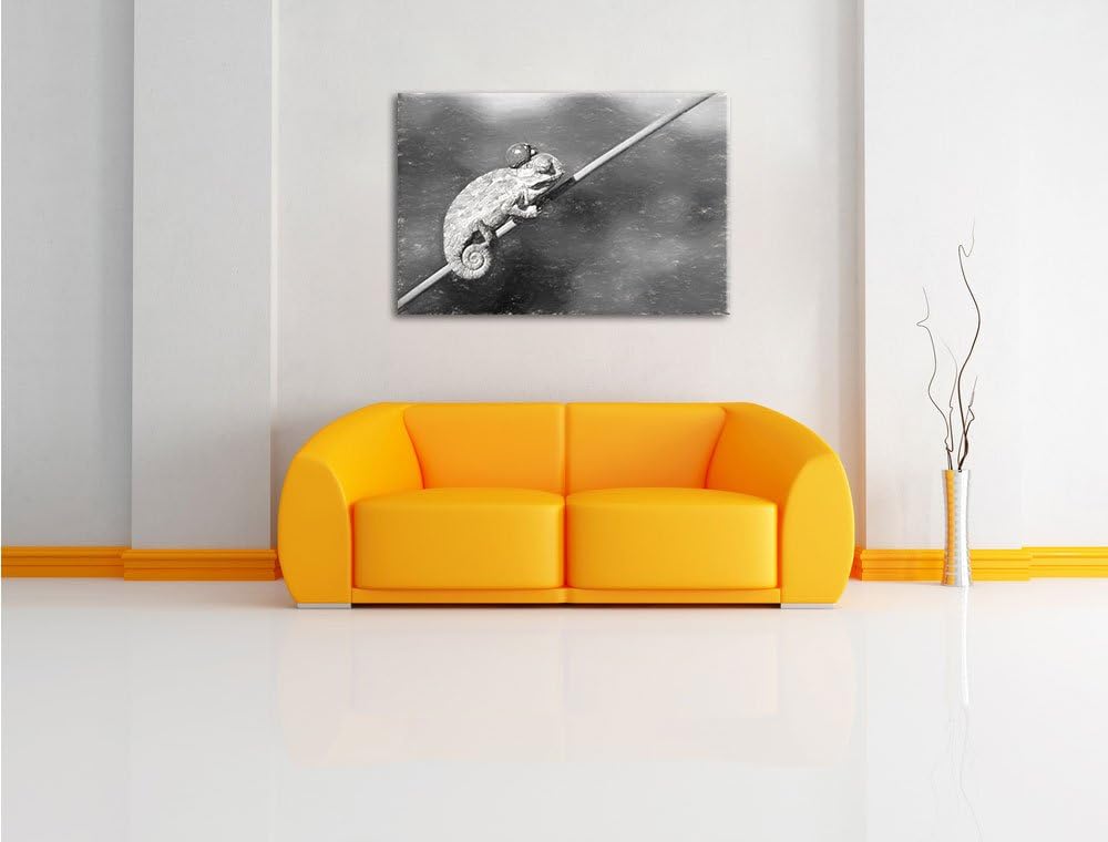 Pixxprint Gecko mit einem Marienkäfer als Leinwandbild/Grösse: 100x70 / Wandbild/Kunstdruck/fertig b