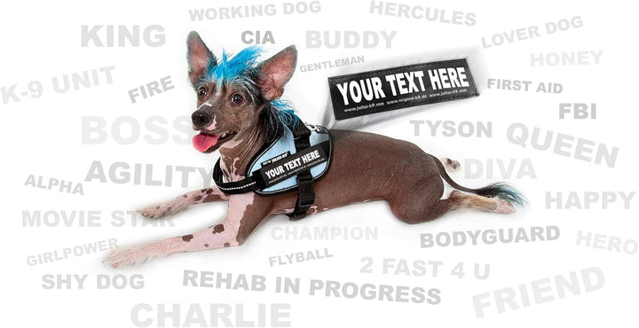 Julius K9 Hundegeschirr, Brustgeschirr reflektierend Hunde Geschirr mit personalisiertes Geschenk, b