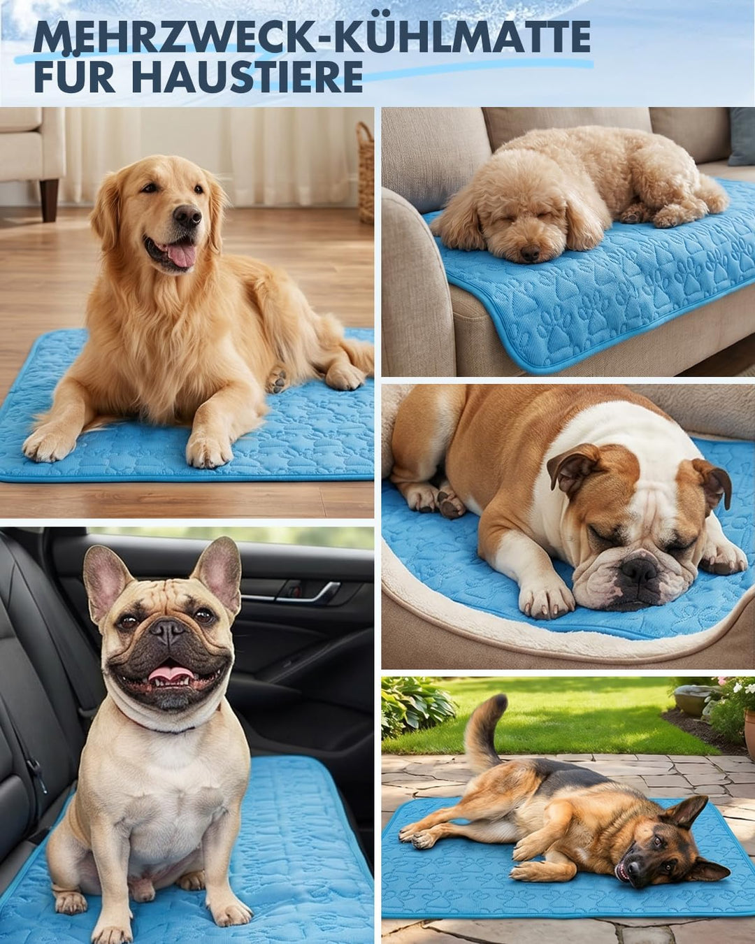 Kühlmatte für Hunde und Katzen, 100 x 70 cm, selbstkühlend Blau 100x70cm, Blau 100x70cm
