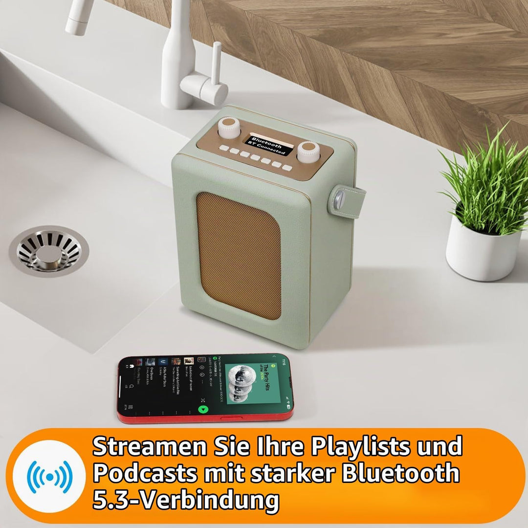 LEMEGA Class Classic DAB+ Retro-Radio,Bluetooth,20 Stunden Akkulaufzeit,EQ | 60 Speicherplätze,Doppe