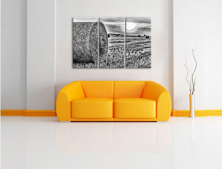 Pixxprint Monocrome, Strohballen auf Feld 3-Teiler Leinwandbild 120x80 Bild auf Leinwand
