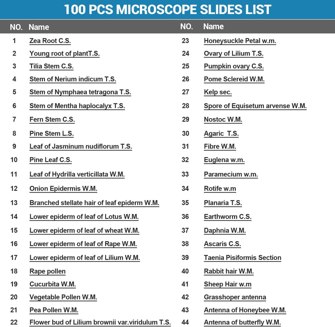 100P Mikroskop Objektträger mit biologischen Proben,Tiere, Insekten, Pflanzen, menschliches Gewebe,