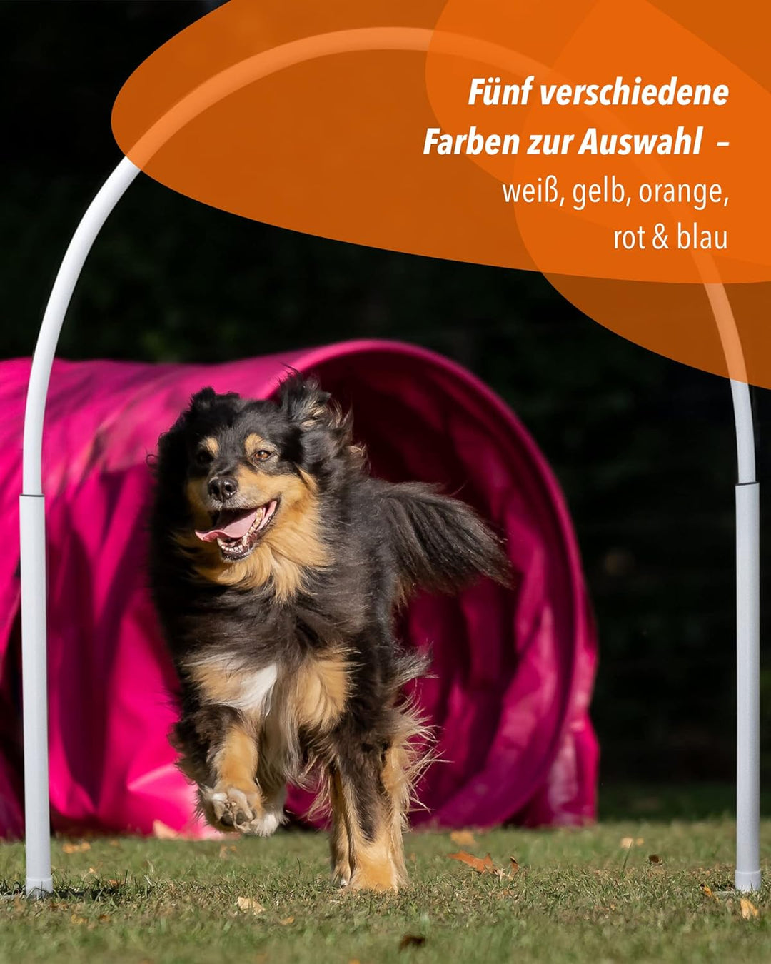 Hoopers Hoop – wetterfest, VDH-konform & farbig – mit Stecksystem für sicheres Hundetraining – aus r