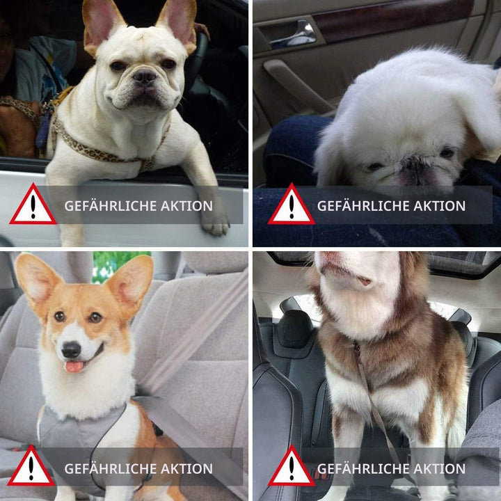 Wodondog Hunde Vordersitz Autositz für Kleine Mittlere Hunde mit Sicherheitsgurt Faltbare Hundedecke