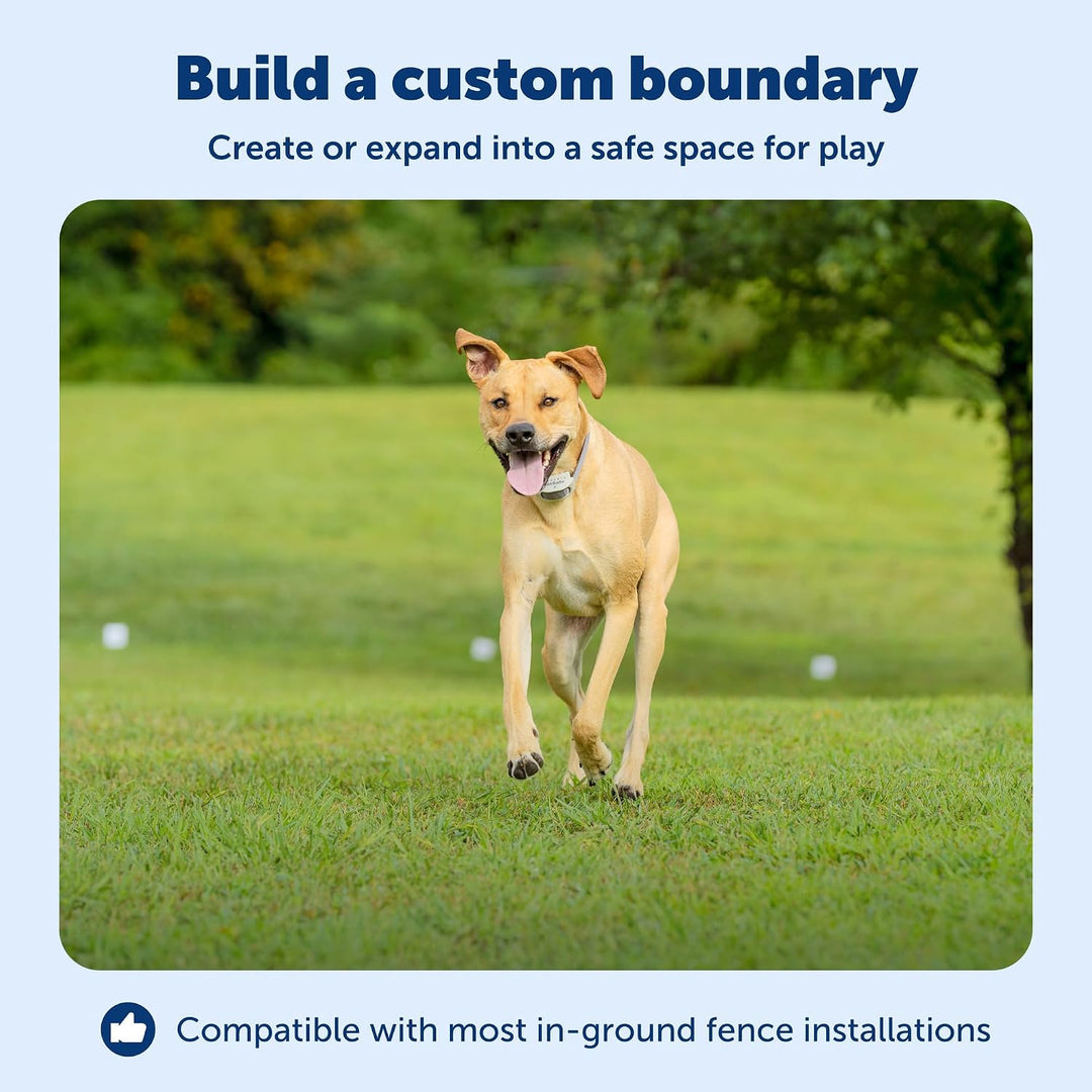 PetSafe Begrenzungsdraht, 152,4 m Spule mit solidem Kern 20-Gauge Kupferdraht, In-Ground Pet Zaundra