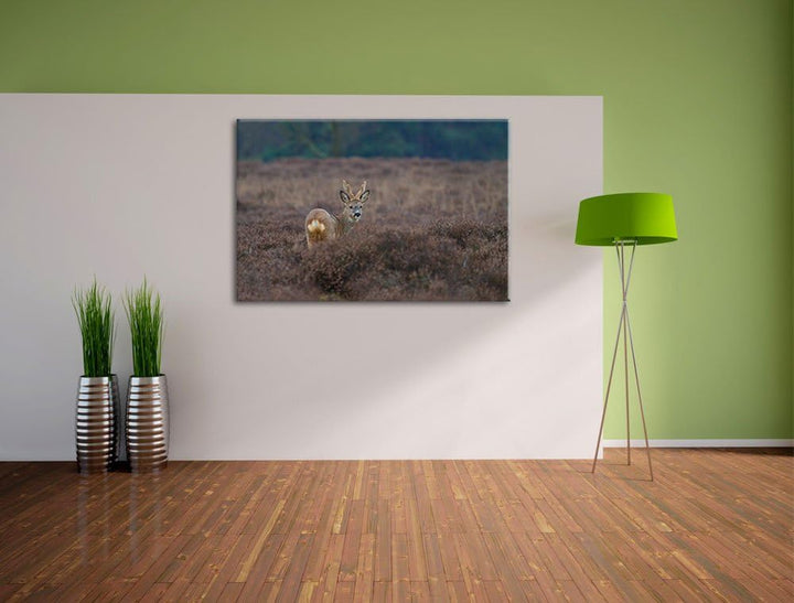 junger Hirsch auf dunkler Wiese Leinwand, XXL riesige Bilder fertig gerahmt mit Keilrahmen, Kunstdru